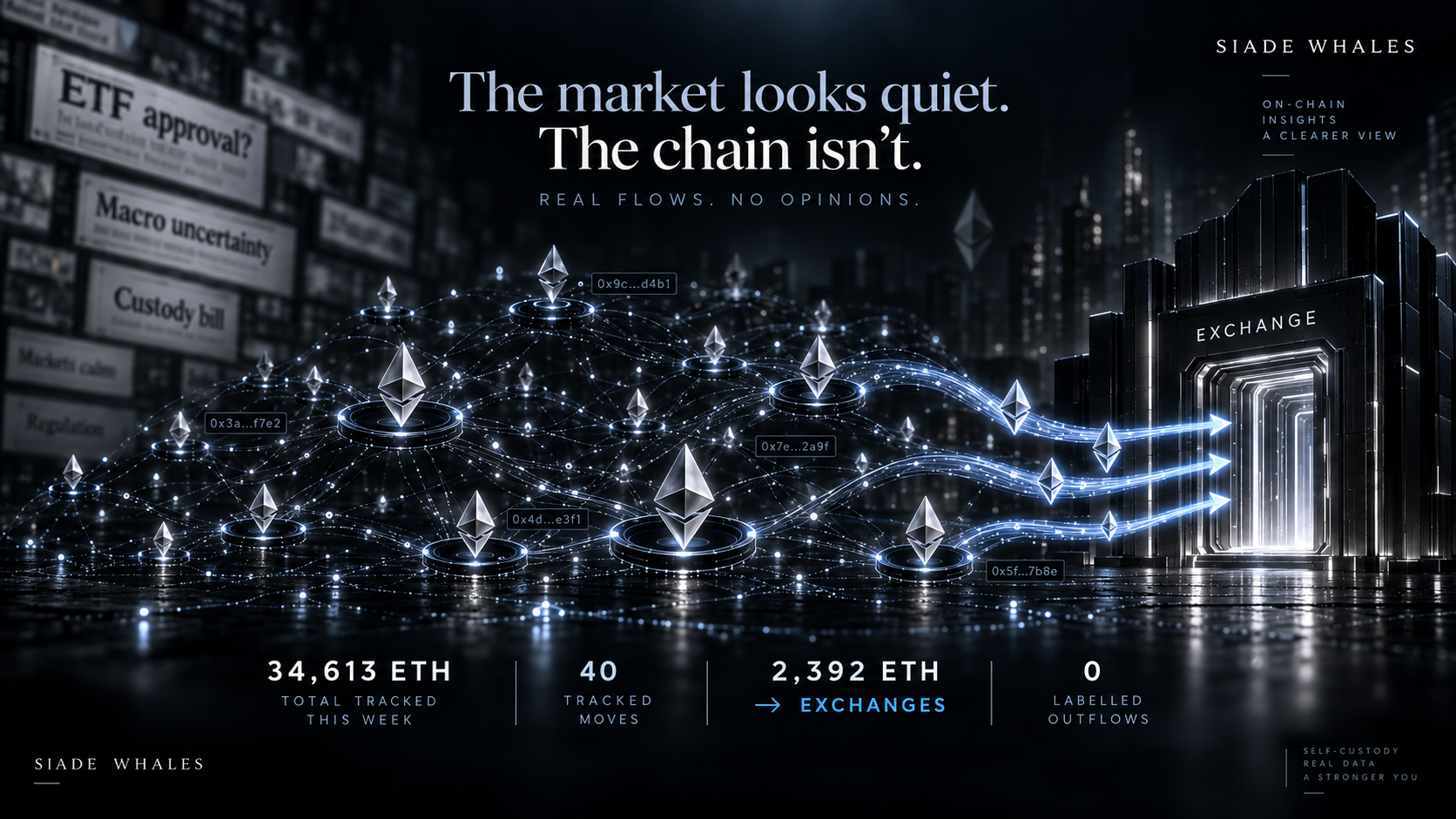 Transacciones de ballenas de Ethereum convertidas en flujos luminosos de cartera a cartera, con tres transferencias de ETH hacia un exchange sobre un fondo de titulares cripto desenfocados.
